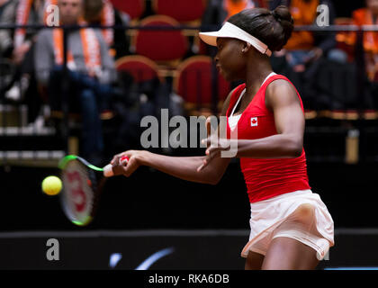 Vom 9. Februar 2019 Den Bosch, Niederlande Tennis FED Cup Niederlande gegen Kanada Francoise Abanda Credit: Orange Bilder vof/Alamy leben Nachrichten Stockfoto