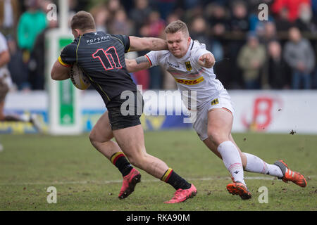 Brüssel, Belgien. 09 Feb, 2019. Rugby: EM, Abteilung 1A, Spieltag 1: Belgisch. Felix Lammers (Deutschland, 23, rechts) Angriffe der scheidende Thomas Wallraf (Belgien, 11). Die deutsche Rugby-nationalmannschaft mit 22 verloren: 29 (7:12). Credit: Jürgen Kessler/dpa/Alamy leben Nachrichten Stockfoto