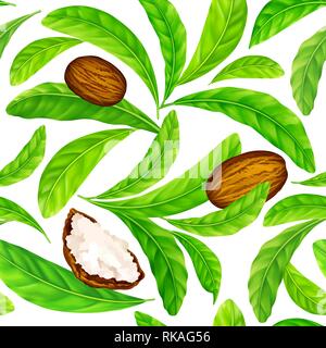Sheanüsse mit Blättern in Vektor Muster. Stock Vektor