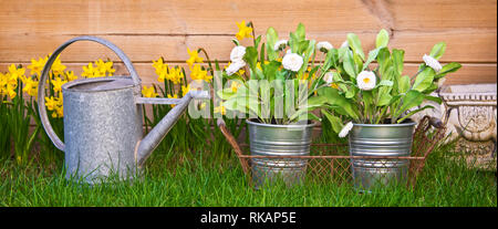 Gießkanne und Blumen in einem Garten Stockfoto