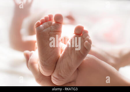 Mom Massagen der Beine eines neugeborenen Babys. Baby Fuß in der Mutter. Tiny's new born baby Füße auf weibliche Hände closeup Stockfoto