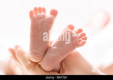 Mom Massagen der Beine eines neugeborenen Babys. Baby Fuß in der Mutter. Tiny's new born baby Füße auf weibliche Hände closeup Stockfoto