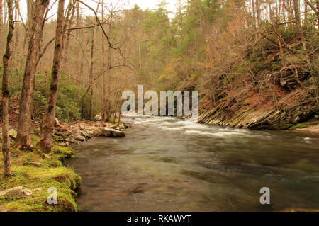 Teilweise befindet sich in Great Smokey Mountains National Park, der kleine Fluss bietet einige der schönsten Landschaft im Südosten der Vereinigten Staaten Stockfoto