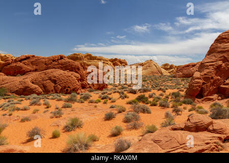 Blick Richtung Rainbow Vista, Valley of Fire State Park, Nevada, United States. Stockfoto