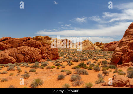 Blick Richtung Rainbow Vista, Valley of Fire State Park, Nevada, United States. Stockfoto