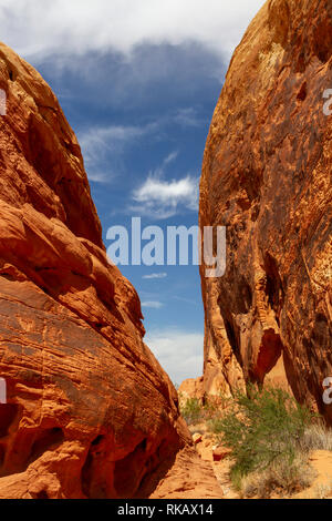 Die Rainbow Vista Bereich der Valley of Fire State Park, Nevada, United States. Stockfoto