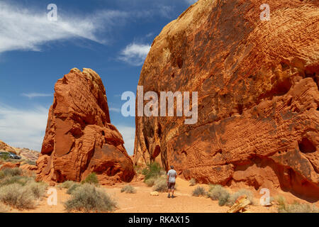 Die Rainbow Vista Bereich der Valley of Fire State Park, Nevada, United States. Stockfoto