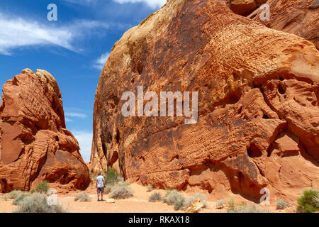 Die Rainbow Vista Bereich der Valley of Fire State Park, Nevada, United States. Stockfoto