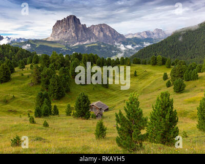 Val Gardena Alpental. Almwiese und Pinien, Holzchalet. Langkofel und Langkofel. Die Dolomiten. Italienische Alpen. Stockfoto
