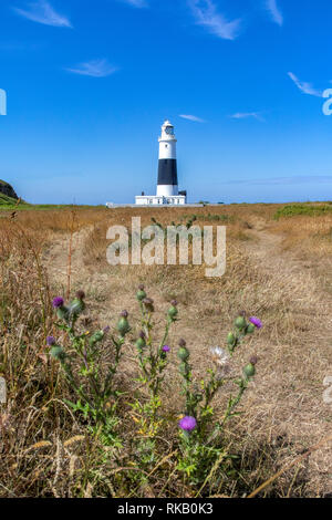 Leuchtturm und Gras Stockfoto