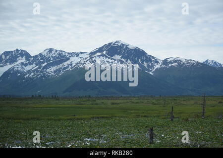 Die schöne Landschaft rund um Seward, Alaska Stockfoto