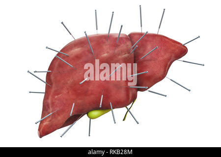 Die menschliche Leber mit Akupunktur Nadeln. Akupunktur Behandlung von Leber Konzept, 3D-Rendering auf weißem Hintergrund Stockfoto