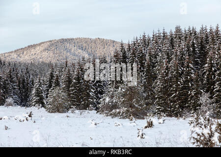 Winter mit Schnee an einem sonnigen Tag in Lika Kroatien Stockfoto