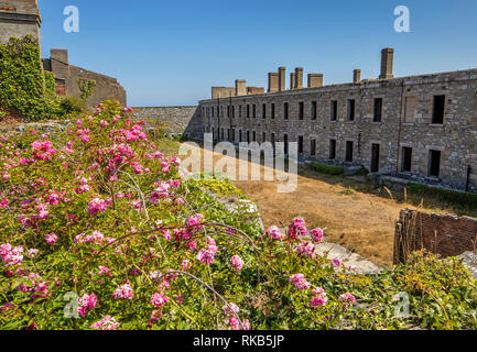 Innenansicht der Baracke Block von Fort Tourgis auf Alderney, die Rosen, die in krassem Gegensatz zu den vorherigen Gebrauch durch die deutschen Truppen. Stockfoto