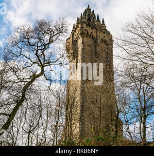 Zu Wallace Monument durch Winter Bäume, Abbey Craig, Stirling, Schottland, UK Stockfoto