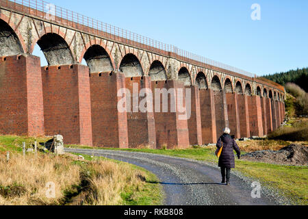 Cairnsmore der Flotte National Nature Reserve, Dumfries und Galloway, Schottland Stockfoto