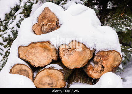 Bündel von Protokollen im Freien unter Fit-Baum im Schnee Stockfoto