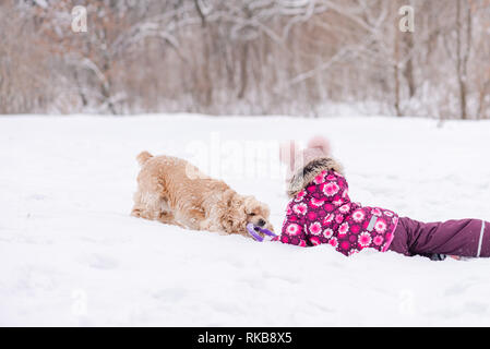 Weibliches Kind Spaß mit Cocker Spaniel im Winter. Kleine Mädchen spielen mit Cocker Spaniel im Freien. Stockfoto