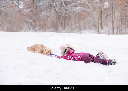 Weibliches Kind Spaß mit Cocker Spaniel im Winter. Weibliche Toddler mit Hund spielen mit ring Spielzeug im Schnee Stockfoto