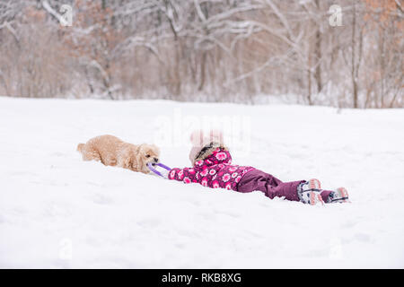 Weibliches Kind Spaß mit Cocker Spaniel im Winter. Kleinkind Mädchen lagen in Schnee und mit Hund spielen. Stockfoto