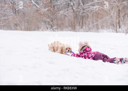 Weibliches Kind Spaß mit Cocker Spaniel im Winter Stockfoto