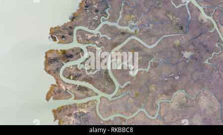 Corte Madera Marsh State Marine Park, Corte Madera, Marine County, CA, USA Stockfoto