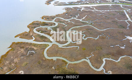 Corte Madera Marsh State Marine Park, Corte Madera, Marine County, CA, USA Stockfoto