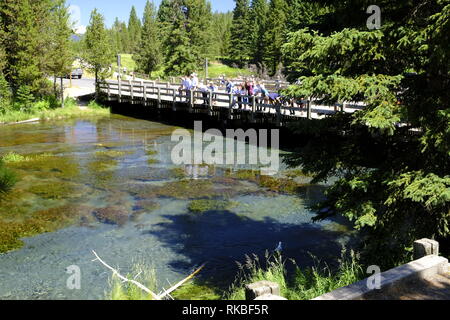 Großen Federn auf die Gabel des Henrys, Snake River, Idaho Stockfoto