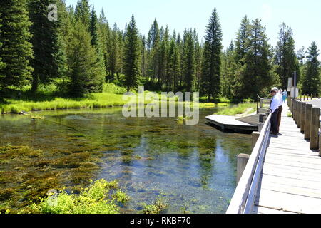 Großen Federn auf die Gabel des Henrys, Snake River, Idaho Stockfoto