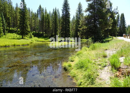 Großen Federn auf die Gabel des Henrys, Snake River, Idaho Stockfoto