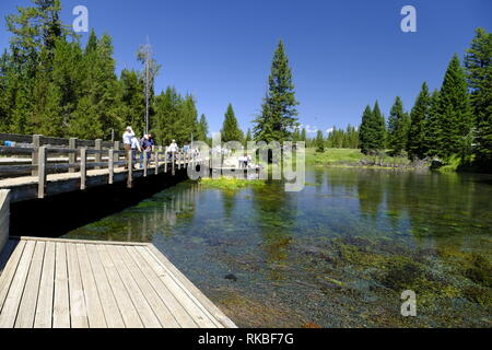 Großen Federn auf die Gabel des Henrys, Snake River, Idaho Stockfoto