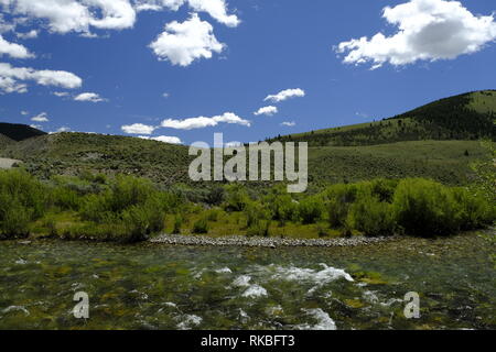 Wildhorse Creek, Idaho Stockfoto