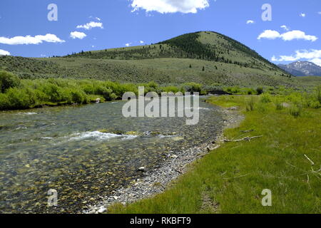 Wildhorse Creek, Idaho Stockfoto