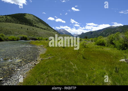 Wildhorse Creek, Idaho Stockfoto