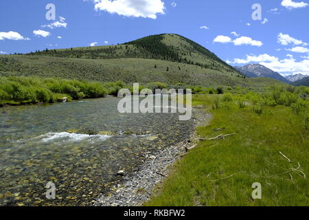 Wildhorse Creek, Idaho Stockfoto