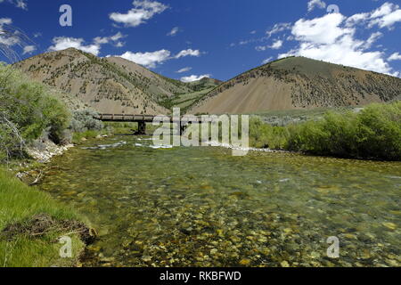 Wildhorse Creek, Idaho Stockfoto