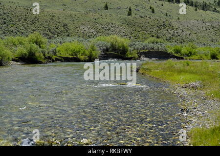 Wildhorse Creek, Idaho Stockfoto