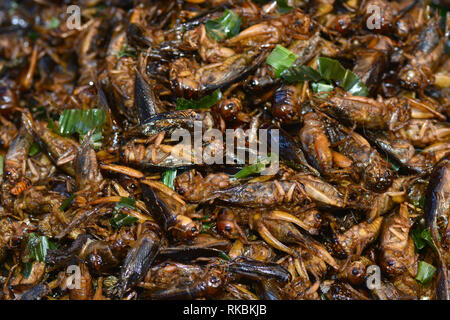Gebratene Insekten in Bangkok ** Hinweis Wählen Sie Fokus mit geringer Tiefenschärfe Stockfoto