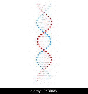 Abstrakte DNA-Struktur auf weißem Hintergrund. Vector Illustration Stock Vektor