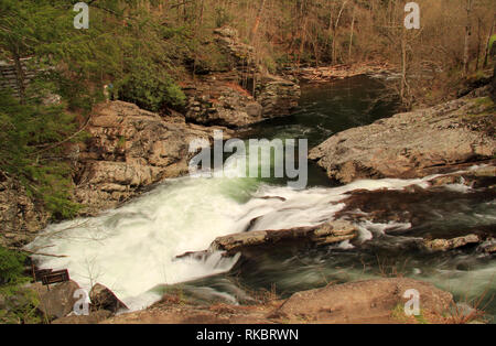 Teilweise befindet sich in Great Smokey Mountains National Park, der kleine Fluss bietet einige der schönsten Landschaft im Südosten der Vereinigten Staaten Stockfoto