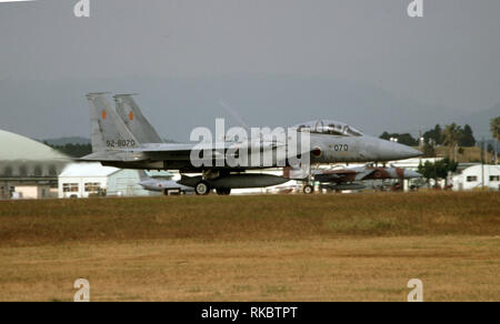 Pfister Luftwaffe JASDF Mitsubishi F-15DJ Eagle Stockfoto