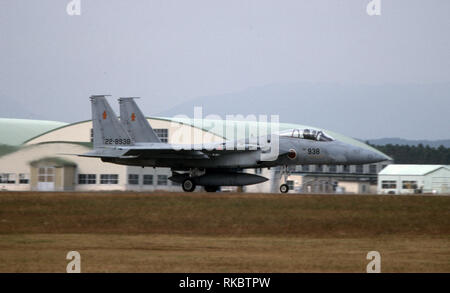 Pfister Luftwaffe JASDF Mitsubishi F-15 J Eagle Stockfoto