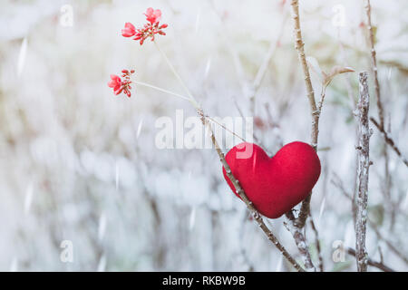 Ein kleines rotes Herz Kissen auf trockenen Baum. Stockfoto