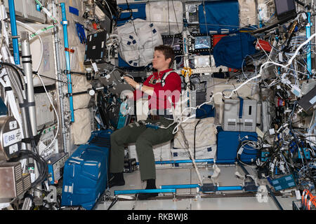 NASA-Astronaut Anne McClain steht innerhalb des europäischen Columbus-Labors Modul in der NeuroMapping Experiment an Bord der Internationalen Raumstation am 4. Januar 2019 in der Erdumlaufbahn teilnehmen. McClain ist die Teilnahme an einer lang andauernden Experiment, Studien, ob Langzeitraumflügen Änderungen an das Gehirn, einschließlich Gehirn Struktur und Funktion, Motor Control Ursachen und Multi-tasking-Fähigkeiten. Stockfoto