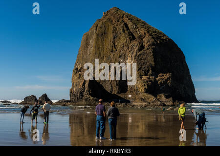 Touristen und Einheimische genießen den Strand mit Haystack Rock im Hintergrund bei Cannon Beach, Oregon, USA. Stockfoto
