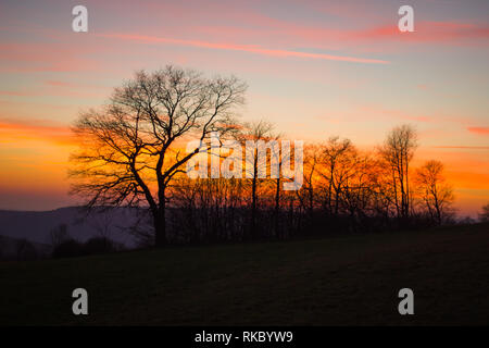 Sonnenuntergang am Katzenbuckel Stockfoto