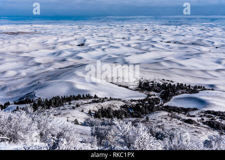 Schnee bedeckt Ackerland in den sanften Hügeln des Palouse von steptoe Butte. Stockfoto