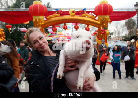 Rom, Italien. 10. Feb 2019. A Roma führenden ein Schwein, das Symbol der chinesische Jahr Feiern zum chinesischen Neujahr 2019 in Rom. Dieses Jahr beginnt das Jahr des Schweins. Foto Samantha Zucchi Insidefoto Credit: insidefoto Srl/Alamy leben Nachrichten Stockfoto