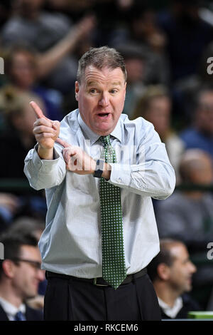 Fairfax, Virginia, USA. 10 Feb, 2019. George Mason Patriots Head Coach DAVE PAULSEN in der ersten Hälfte gegen die La Salle Forscher an EagleBank Arena. Credit: Terrence Williams/ZUMA Draht/Alamy leben Nachrichten Stockfoto