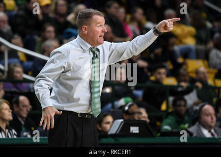 Fairfax, Virginia, USA. 10 Feb, 2019. George Mason Patriots Head Coach DAVE PAULSEN in der zweiten Hälfte gegen die La Salle Forscher an EagleBank Arena. Credit: Terrence Williams/ZUMA Draht/Alamy leben Nachrichten Stockfoto